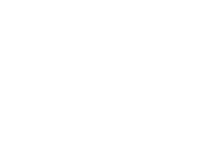 Hosting con Litespeed